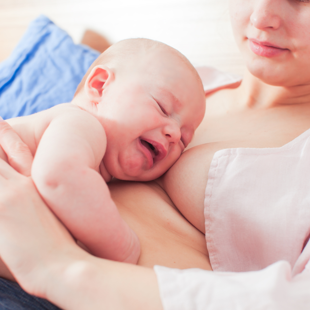 Is Low Breast Milk Supply Affecting Your Bonding Time? Discover the Natural Solution!