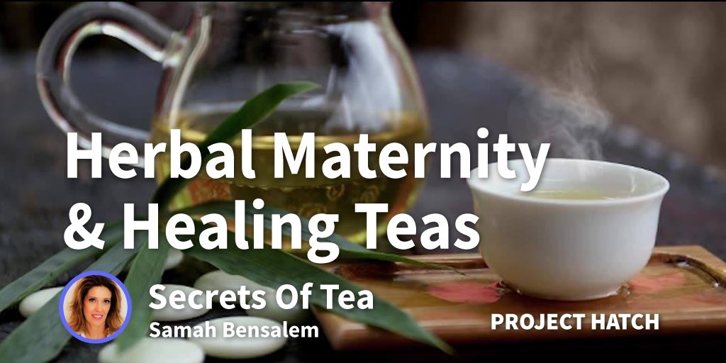 How I Started A Multi Million Dollar Company That Manufactures Teas and Vitamins With $350 | Secrets Of Tea