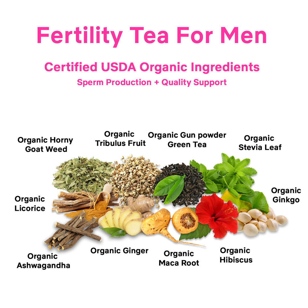 Herbal Tea for Male Wellness and Reproductive Support by Secrets Of Tea